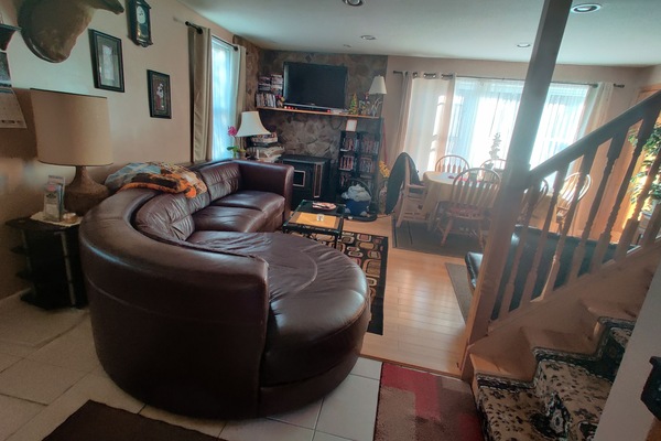 Smart-tv, pejs, dvd-afspiller, bøger