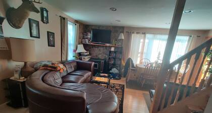 Familienfreundliches, gemütliches Ferienhaus am Small River im Herzen der Catskills.