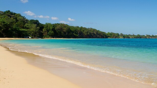 Una playa con agua turquesa cristalina, orilla arenosa y un denso bosque en el fondo.