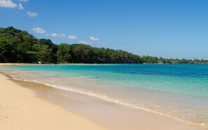 A beach with clear turquoise water, sandy shore, and dense green foliage in the background.