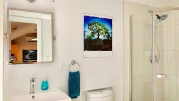 Shower, hair dryer, towels, soap