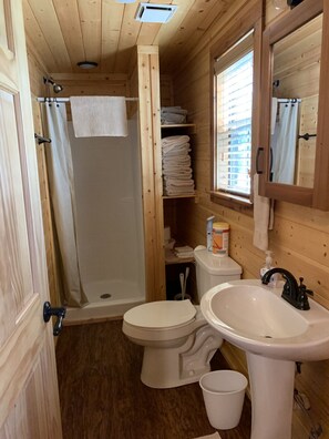 Dusche, Handtücher, Seife, Toilettenpapier