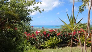 A lush garden with various plants and flowers, a clear blue sky, and a distant view of the ocean.