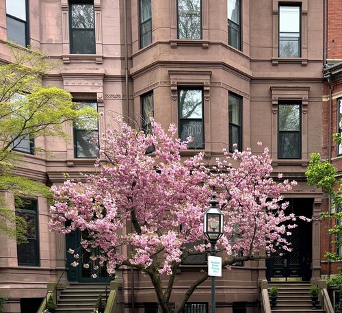 Élégant Back Bay Brownstone - Comm Ave - 1+ Bed - One Week Minimum