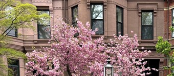 Elegant Back Bay Brownstone-Comm Av 1+ Bed - 1 Week Min, beyond 2 wks considered