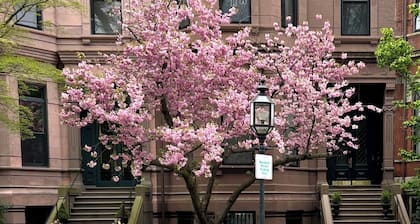 ĂlĂ©gant Back Bay Brownstone - Comm Ave - 1+ Bed - One Week Minimum