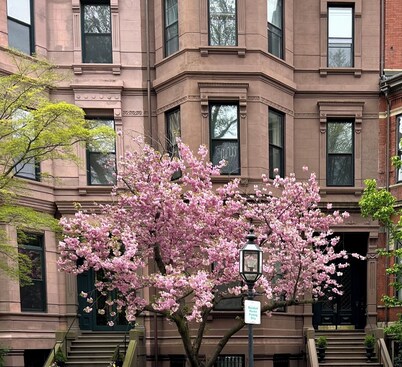 Elegant Back Bay Brownstone-Comm Av 1+ Bed - 1 Week Min, beyond 2 wks considered