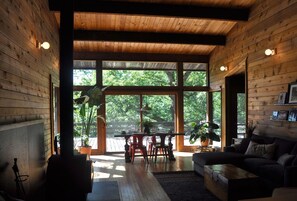 TV, fireplace, DVD player, books