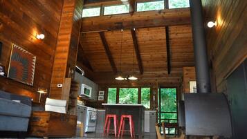 TV, fireplace, DVD player, books