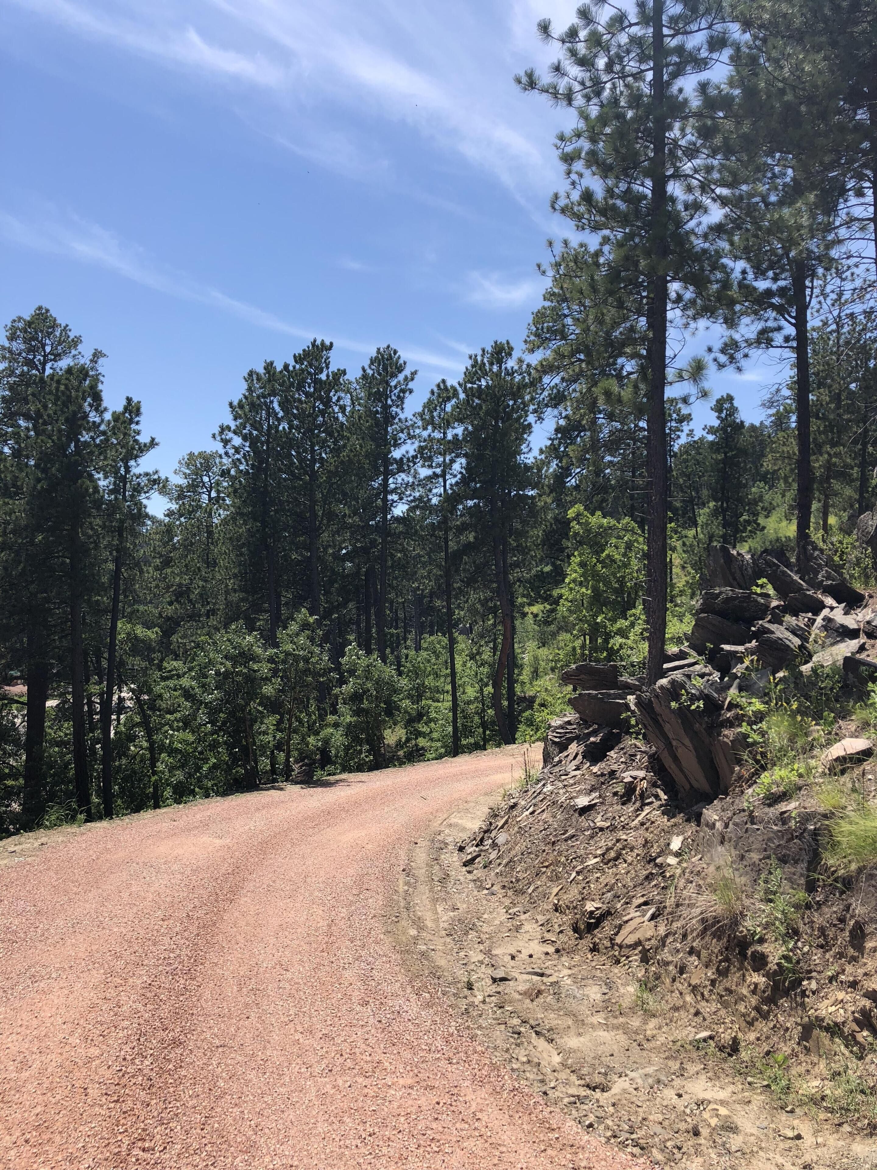 A gravel road winding through a forest with tall pine trees and rocky terrain.