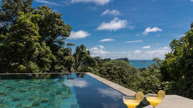 An infinity pool with clear water, surrounded by lush greenery and a view of the ocean. - Private Eco-Villa, Prime Central Location, Ocean Views, Wildlife, and Nightlife (Quepos)