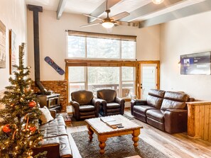 Smart TV, fireplace, DVD player, books