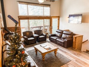 Smart TV, fireplace, DVD player, books