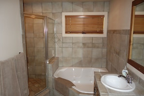Combined shower/tub, hair dryer, bidet, towels