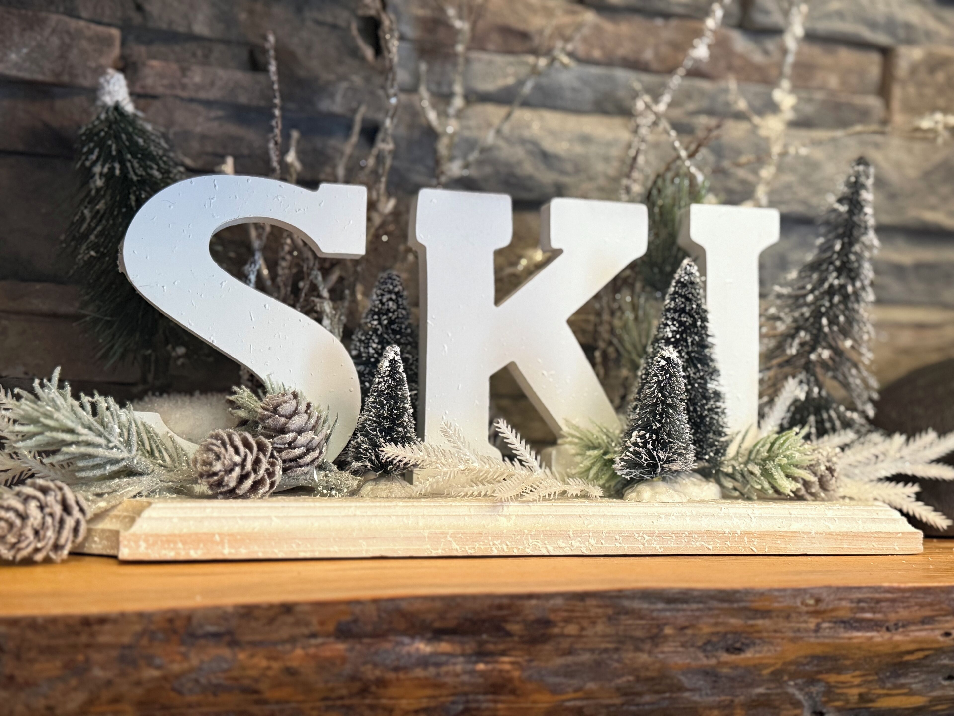 Een houten bord met de letters 'SKI', omringd door dennenappels en kleine dennenbomen, voor een achtergrond van een stenen muur.
