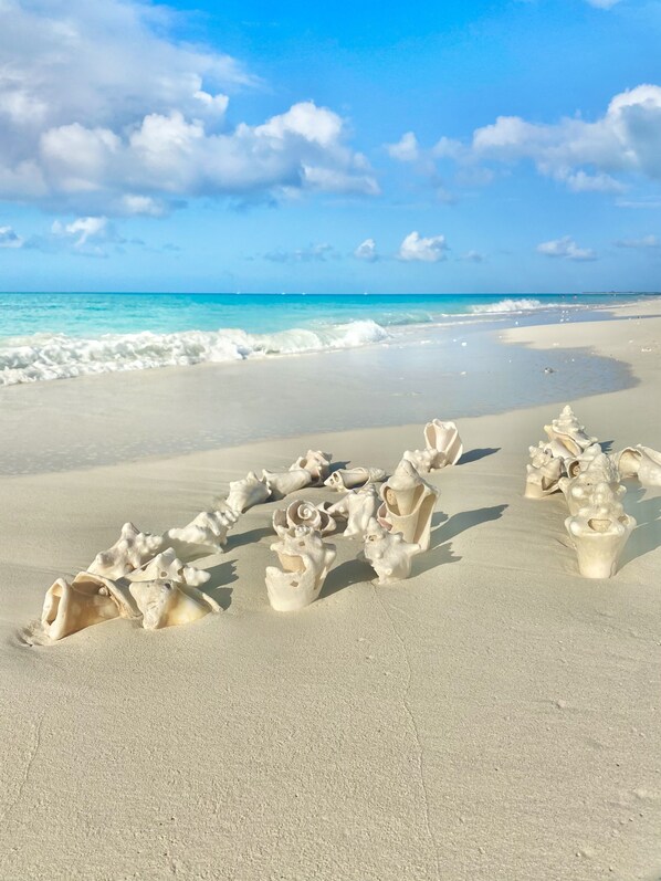 Beach towels - Renovated Studio at Ports of Call Resort – Ample Amenities in an Ideal Location (Grace Bay)