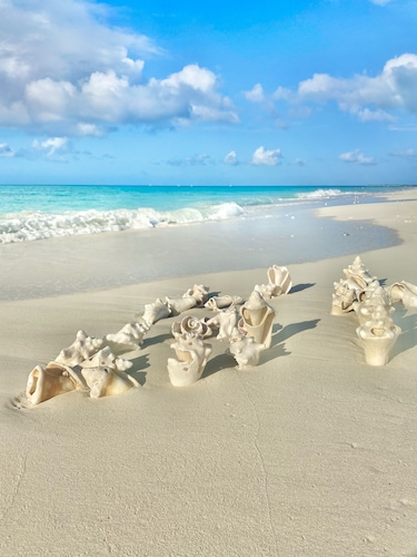 Garden View Studio - Le complexe hôtelier le plus abordable des îles Turks et Caicos