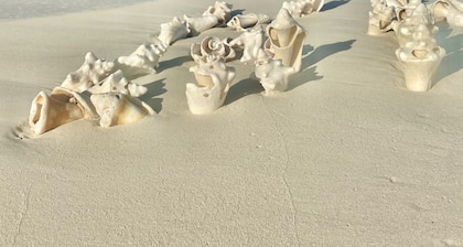 Garden View Studio - Le complexe hĂŽtelier le plus abordable des Ăźles Turks et Caicos