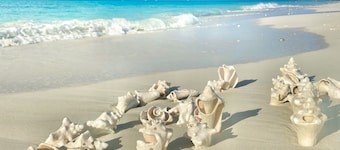 Renovated Studio at Ports of Call Resort – Ample Amenities in an Ideal Location