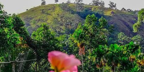 إطلالة على الجبل