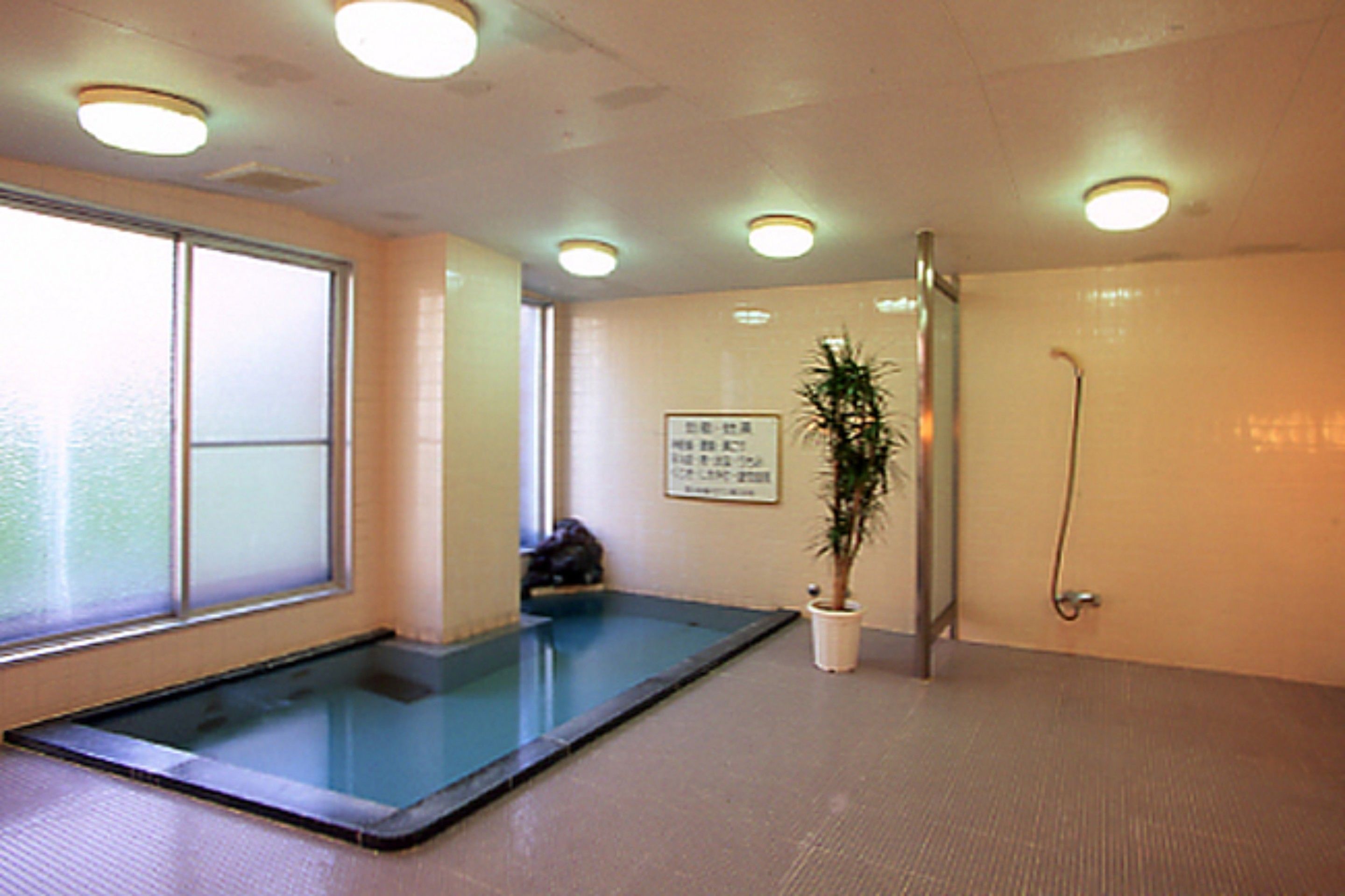 A room with a small pool, a potted plant, and a shower area.