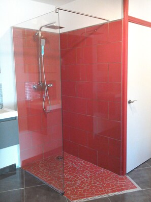 Habitación doble | Regadera en el baño