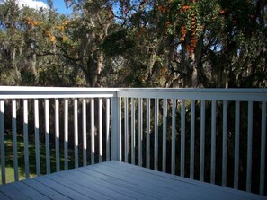 ファミリー コンドミニアム スパ浴槽 ガーデン | バルコニーからの眺望