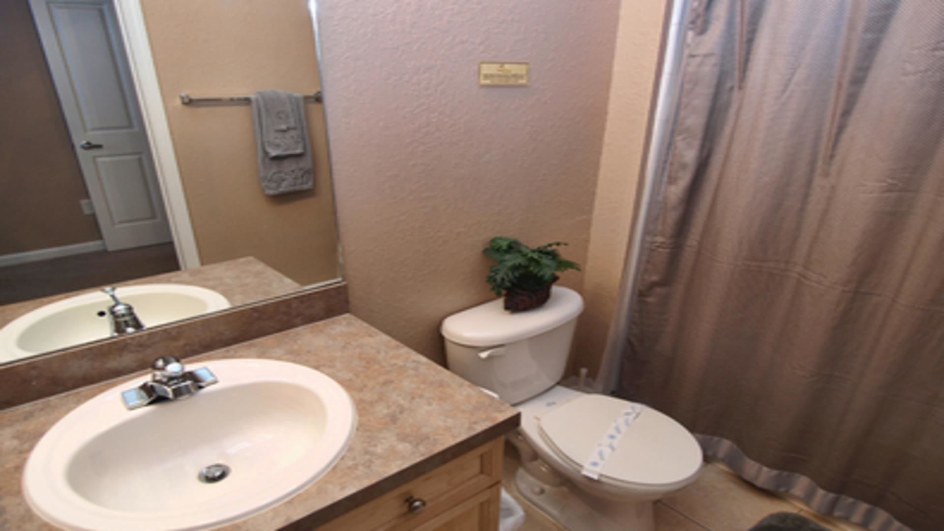 A bathroom with a sink, toilet, and a mirror.