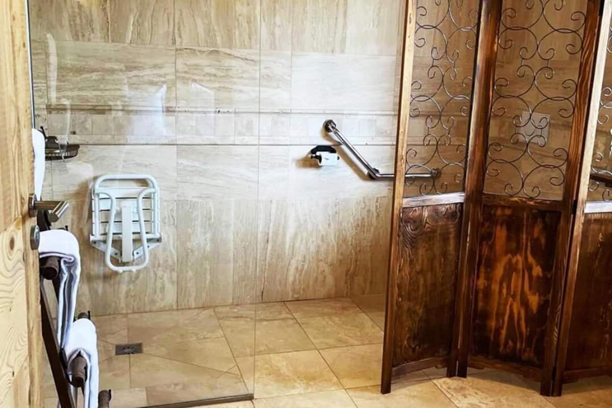 shower, free toiletries, hair dryer, towels