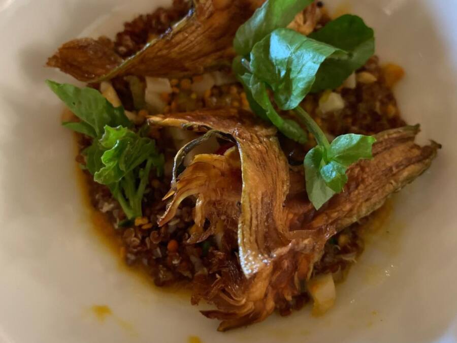 Un plato blanco con un guiso de pescado desmenuzado, algunas verduras y salsa.
