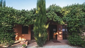 A building with a central entrance flanked by dense greenery, a tiled patio, and a gravel pathway. - Country Resort Al Poggio dei Papi (Citta della Pieve)