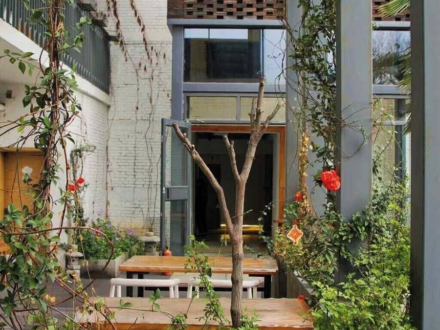 A courtyard with a wooden bench, a small tree, and a brick wall.