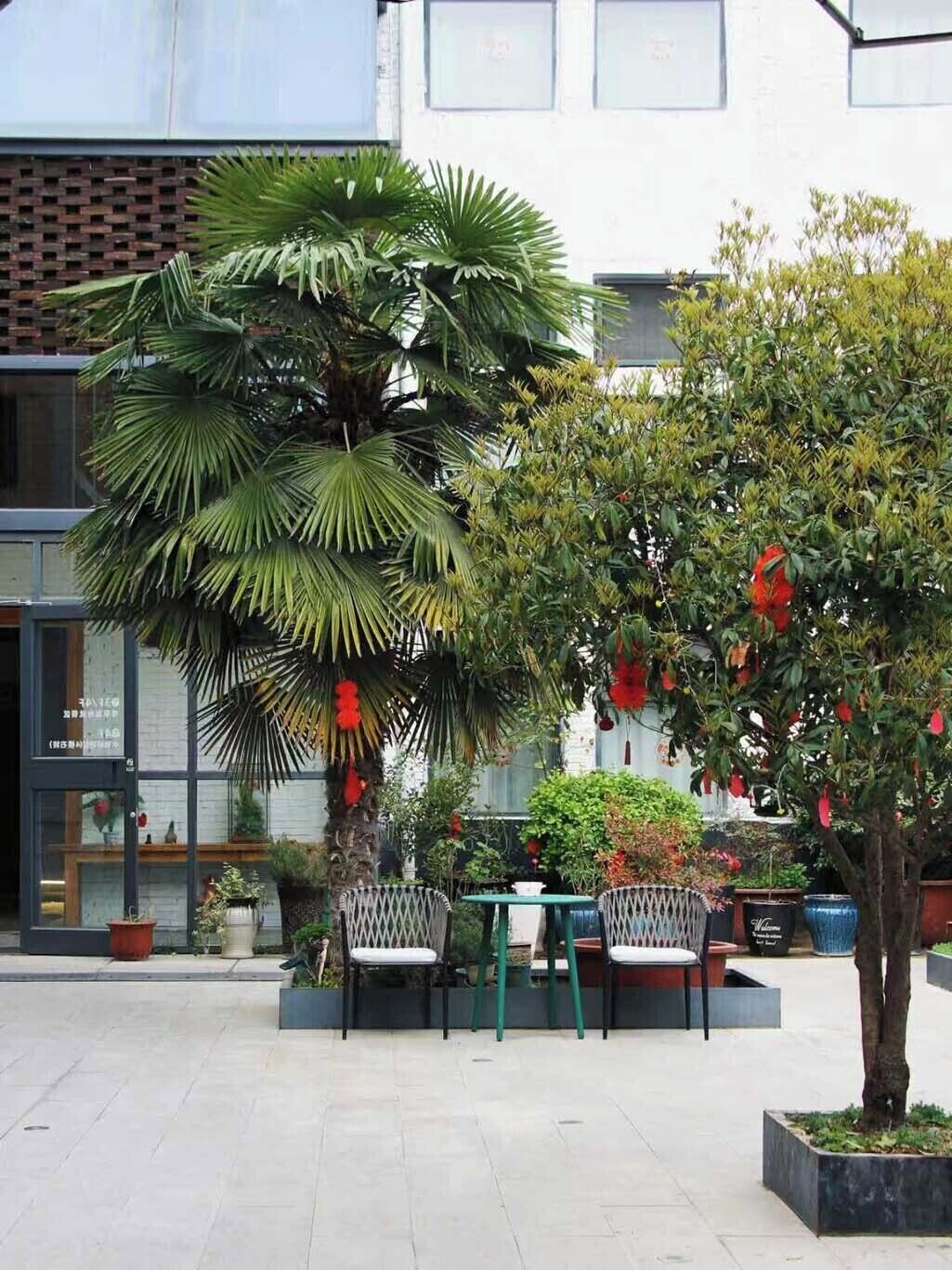 An outdoor seating area with tables and chairs, surrounded by potted plants and trees.
