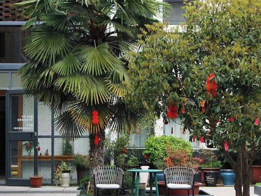 An outdoor seating area with tables and chairs, surrounded by potted plants and trees.