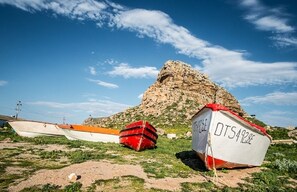 Boats on a grassy area with a rocky hill in the background.