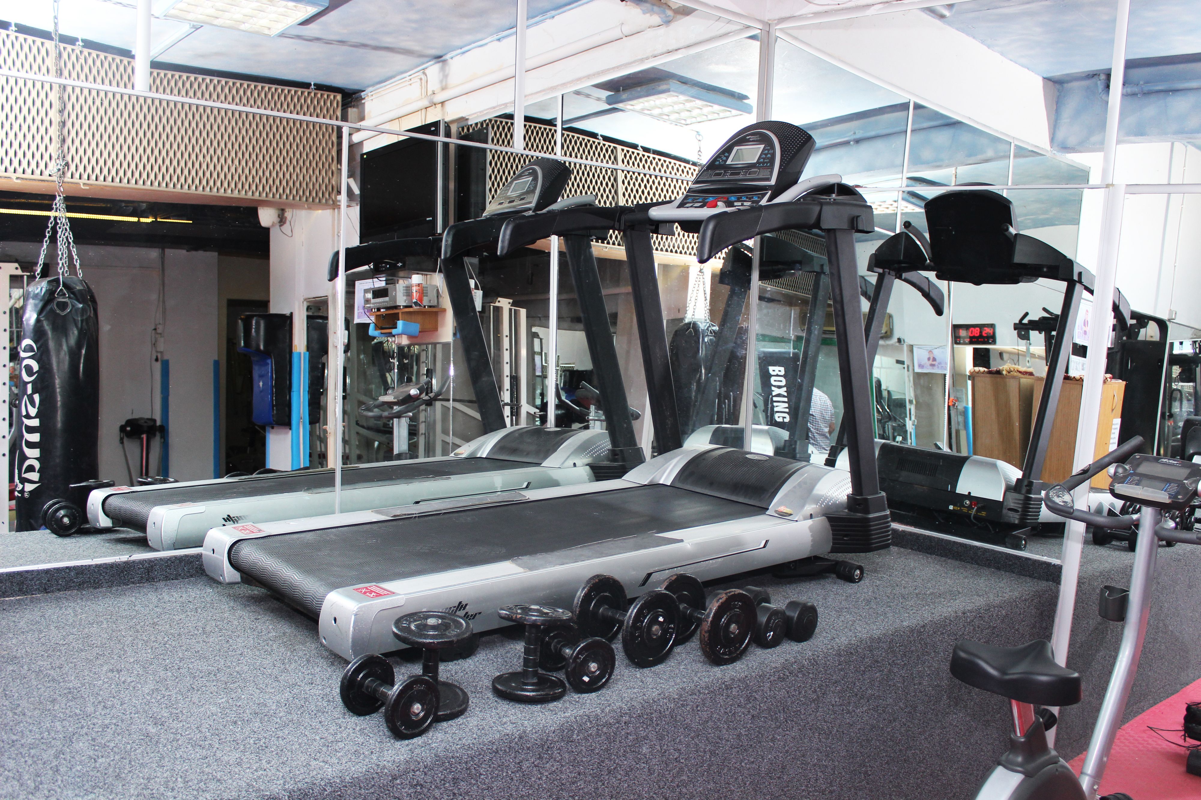 A gym with treadmills, dumbbells, and a punching bag.