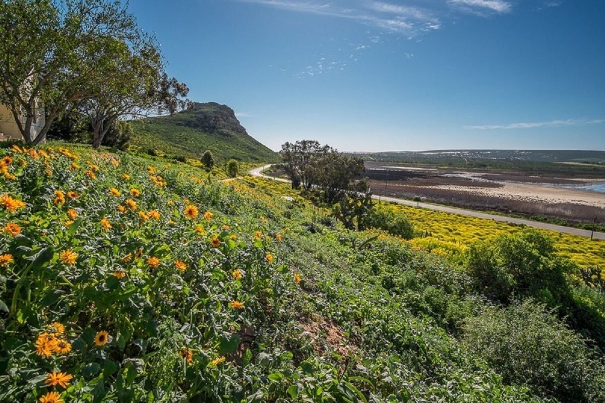 Un paysage comprenant une colline, une route et une plage au loin.
