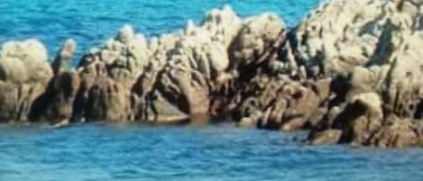 Beach nearby, 3 beach bars