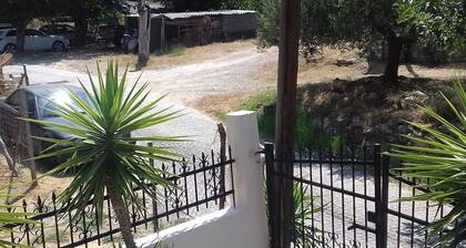 Maisonette Maria - for tranquility. Sykia Chalkidikis