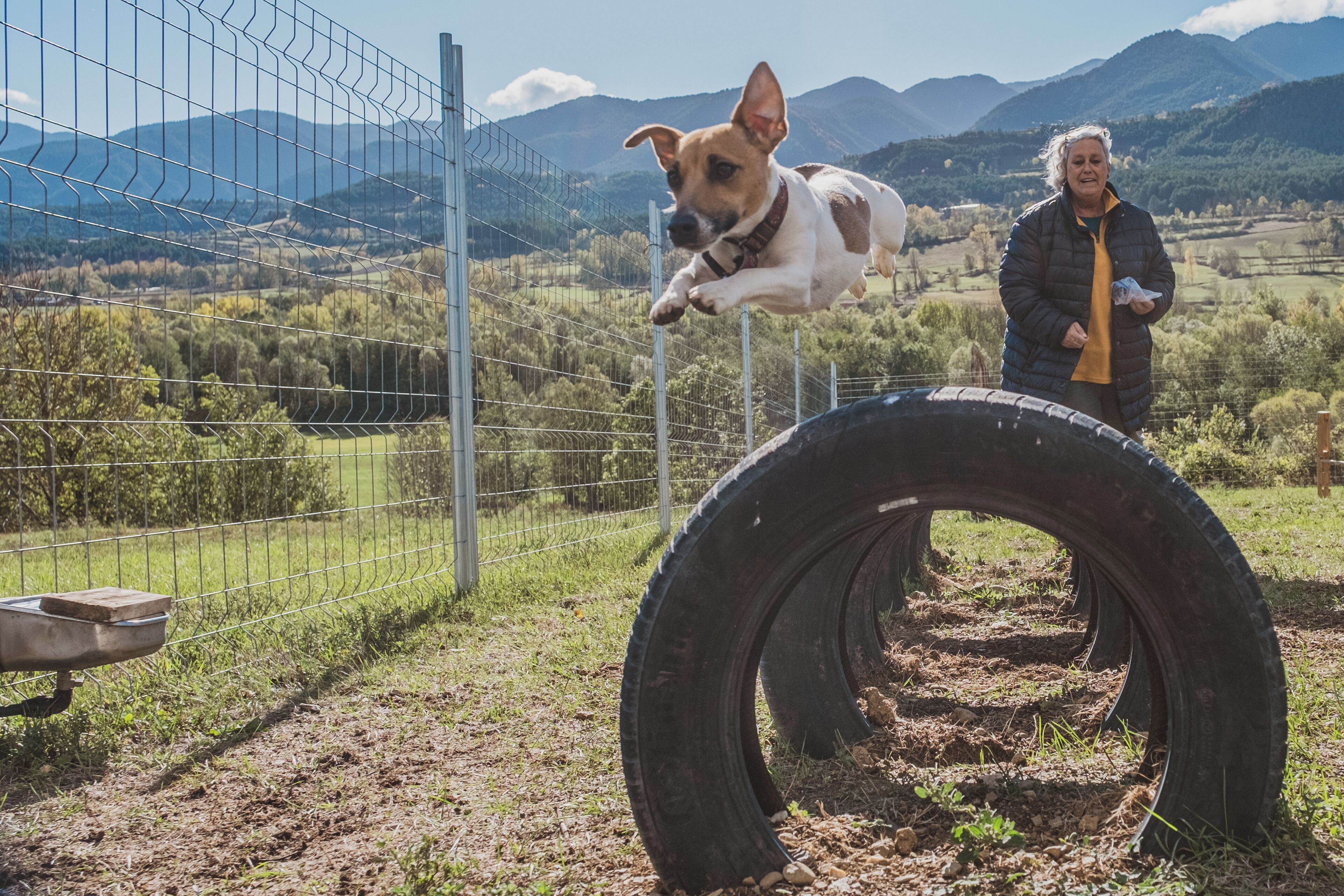 pet-friendly amenities