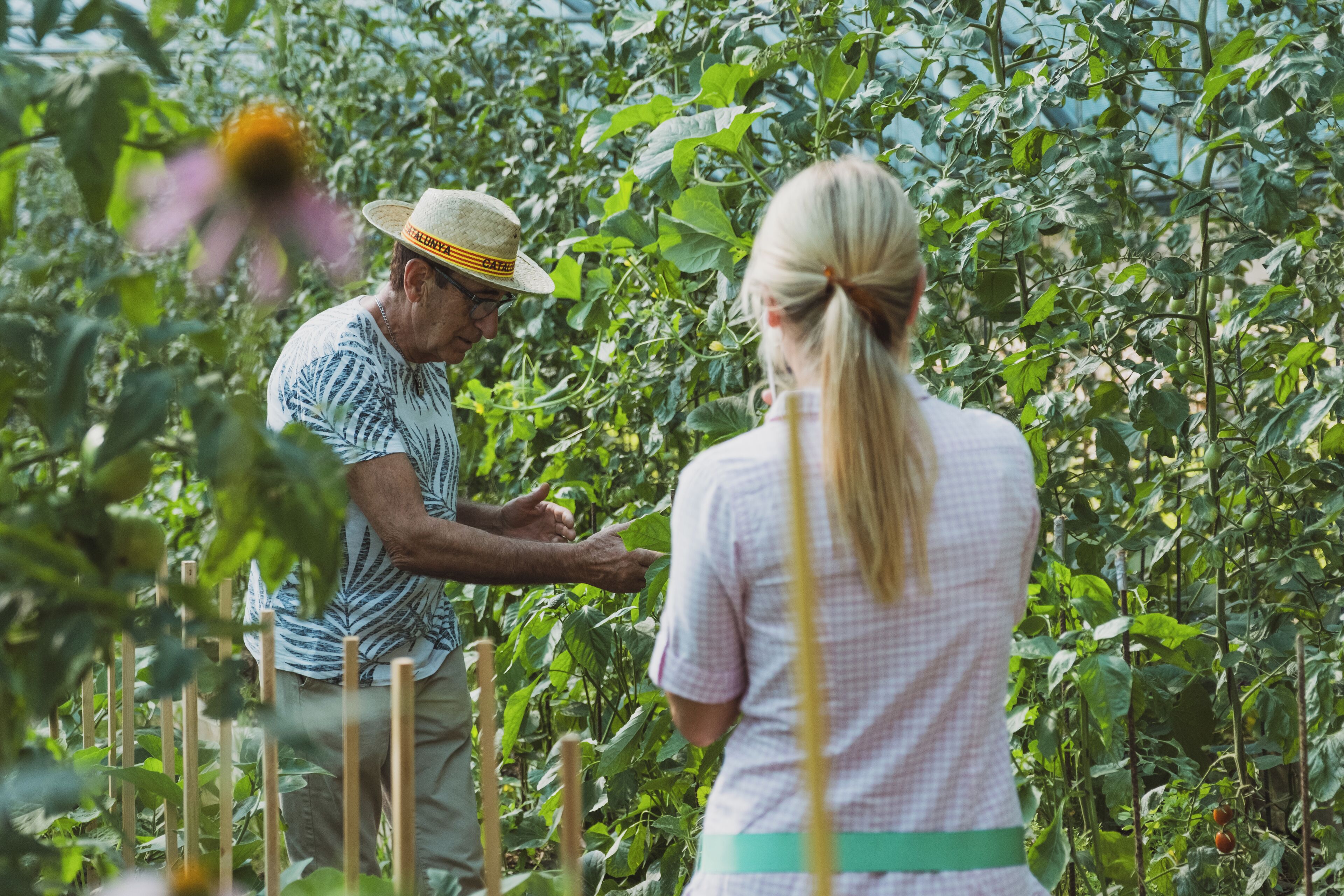 Two people in a garden with dense foliage and wooden stakes.