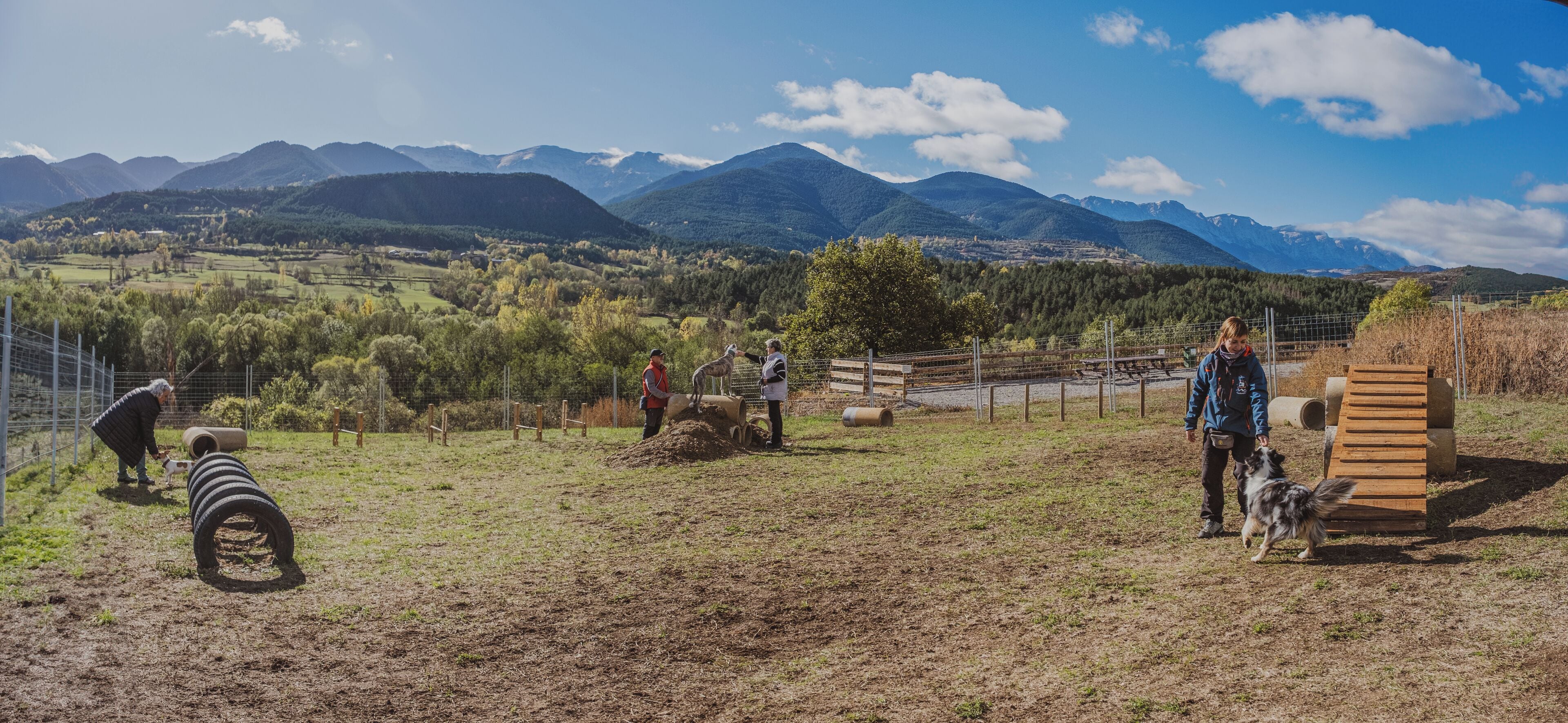 pet-friendly amenities