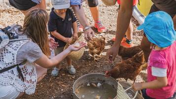 Un grupo de personas alimentando gallinas en una granja.