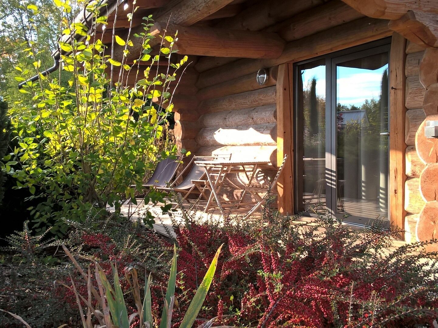Basic-alpehytte - handicapvenligt - terrasse (Handicap) | Udendørsområde