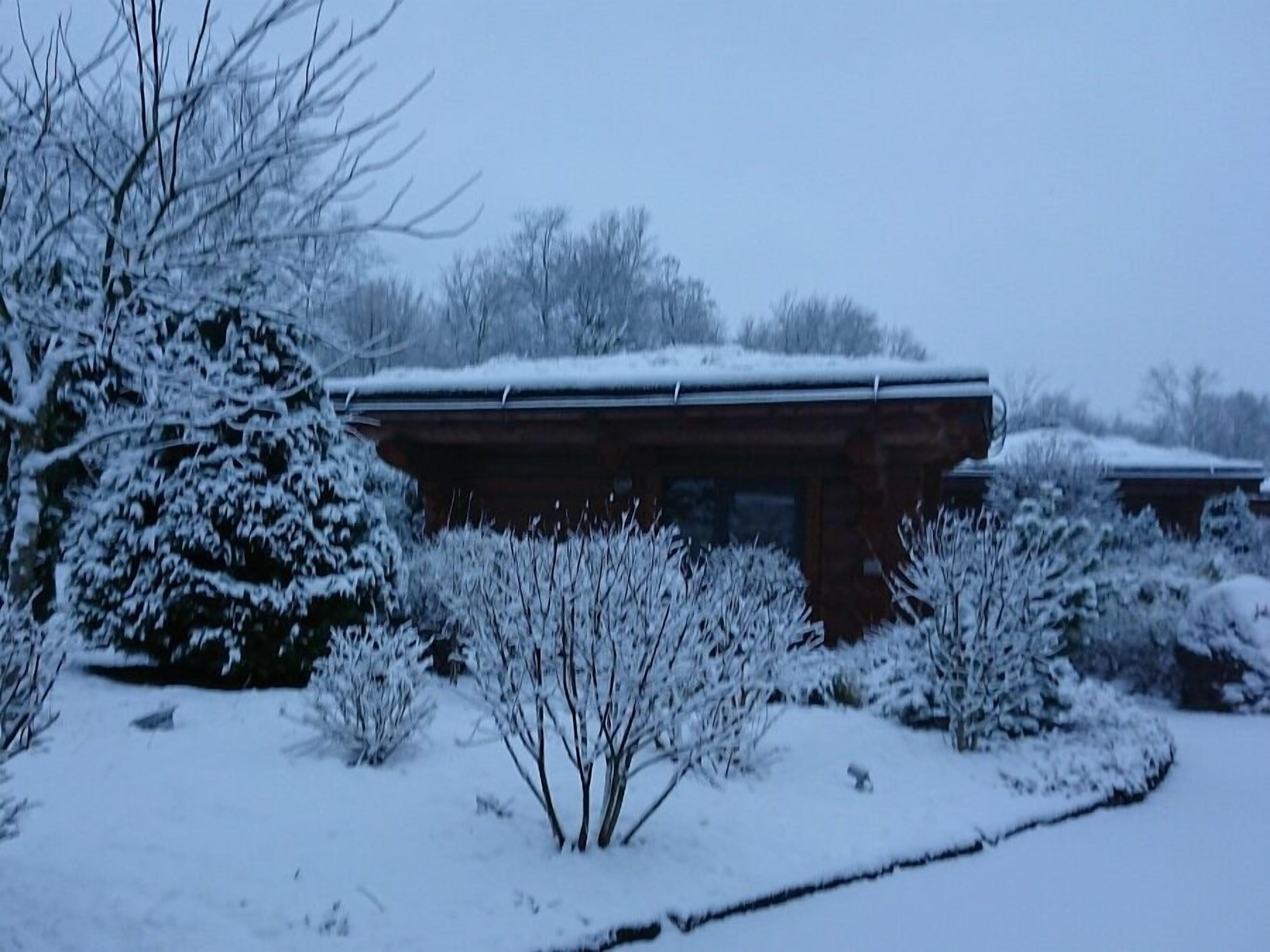 A snow-covered building with a flat roof, surrounded by snow-laden bushes and trees.
