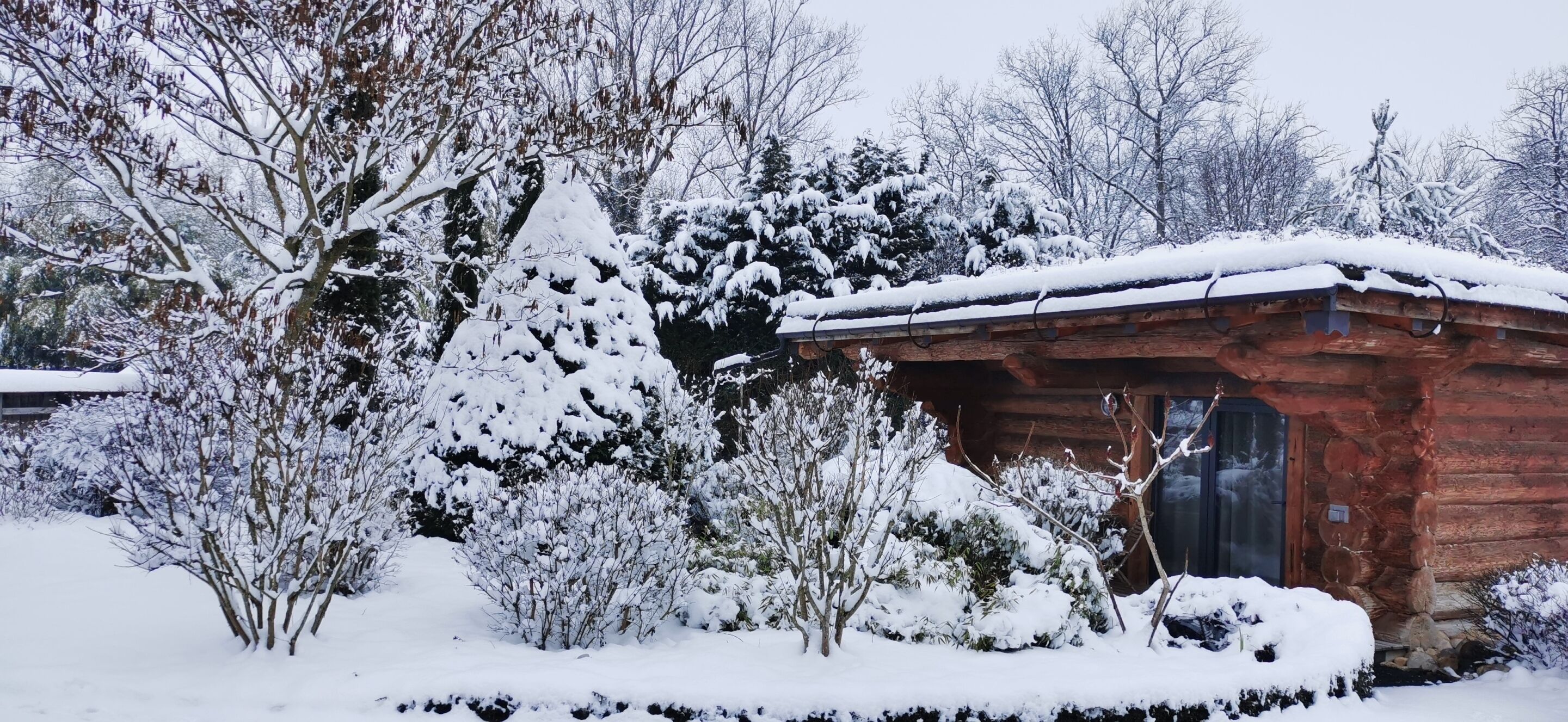 A rustic cabin with a wooden exterior, surrounded by snow-covered trees and shrubs.