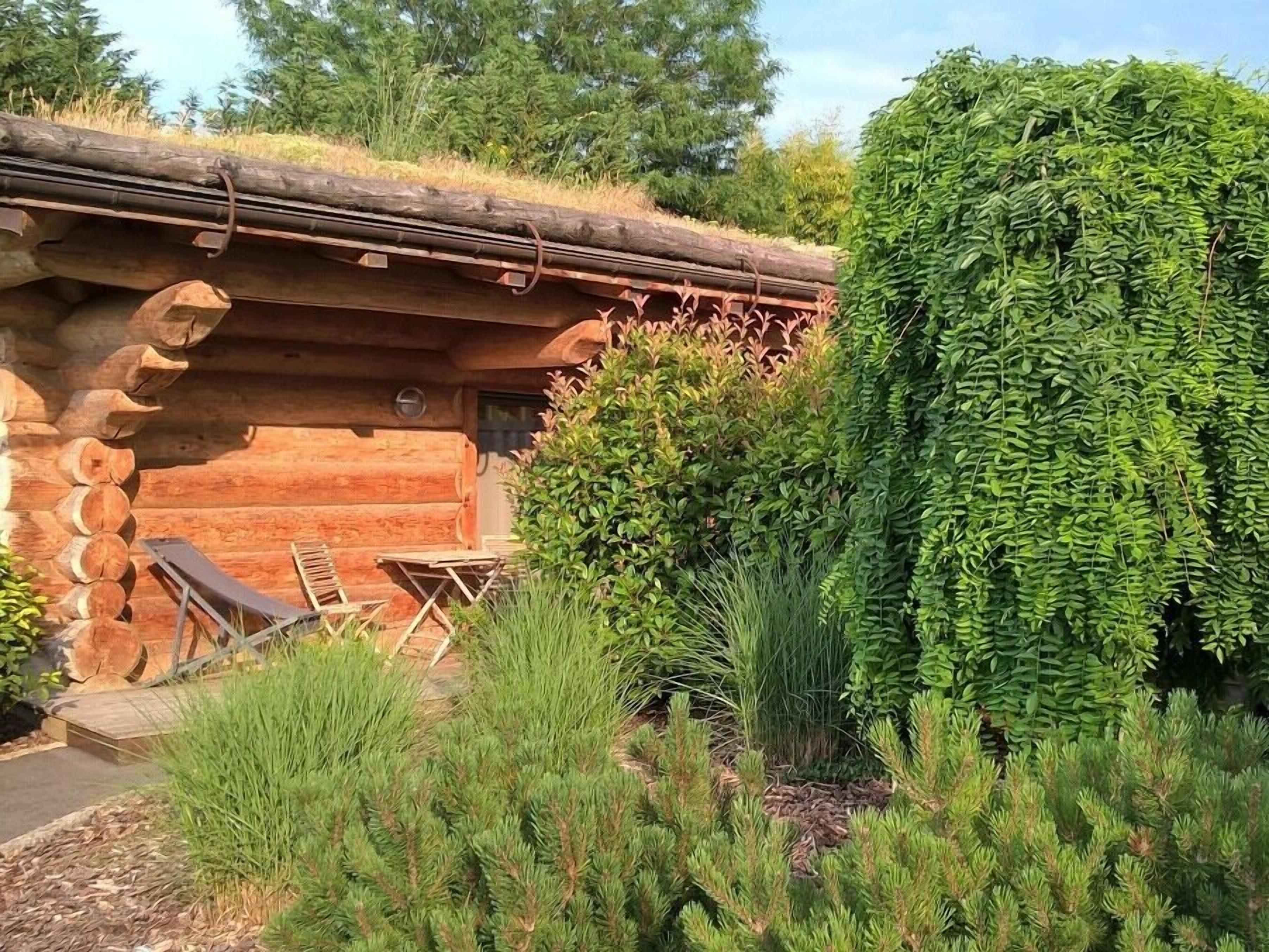 A log cabin with a thatched roof, surrounded by lush greenery and a small outdoor seating area.