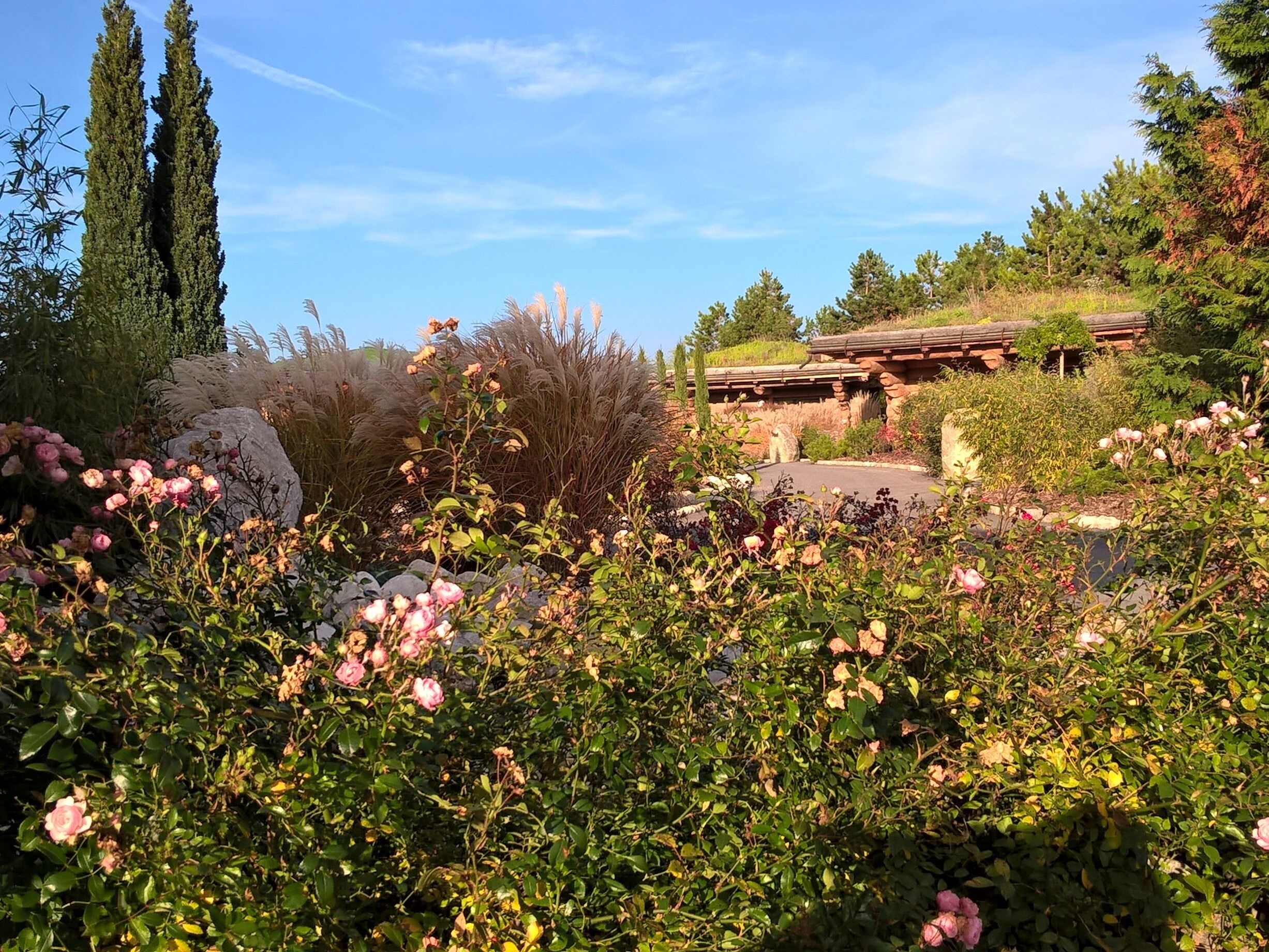 Un jardín con diversas plantas y flores, una estructura de piedra y árboles altos.