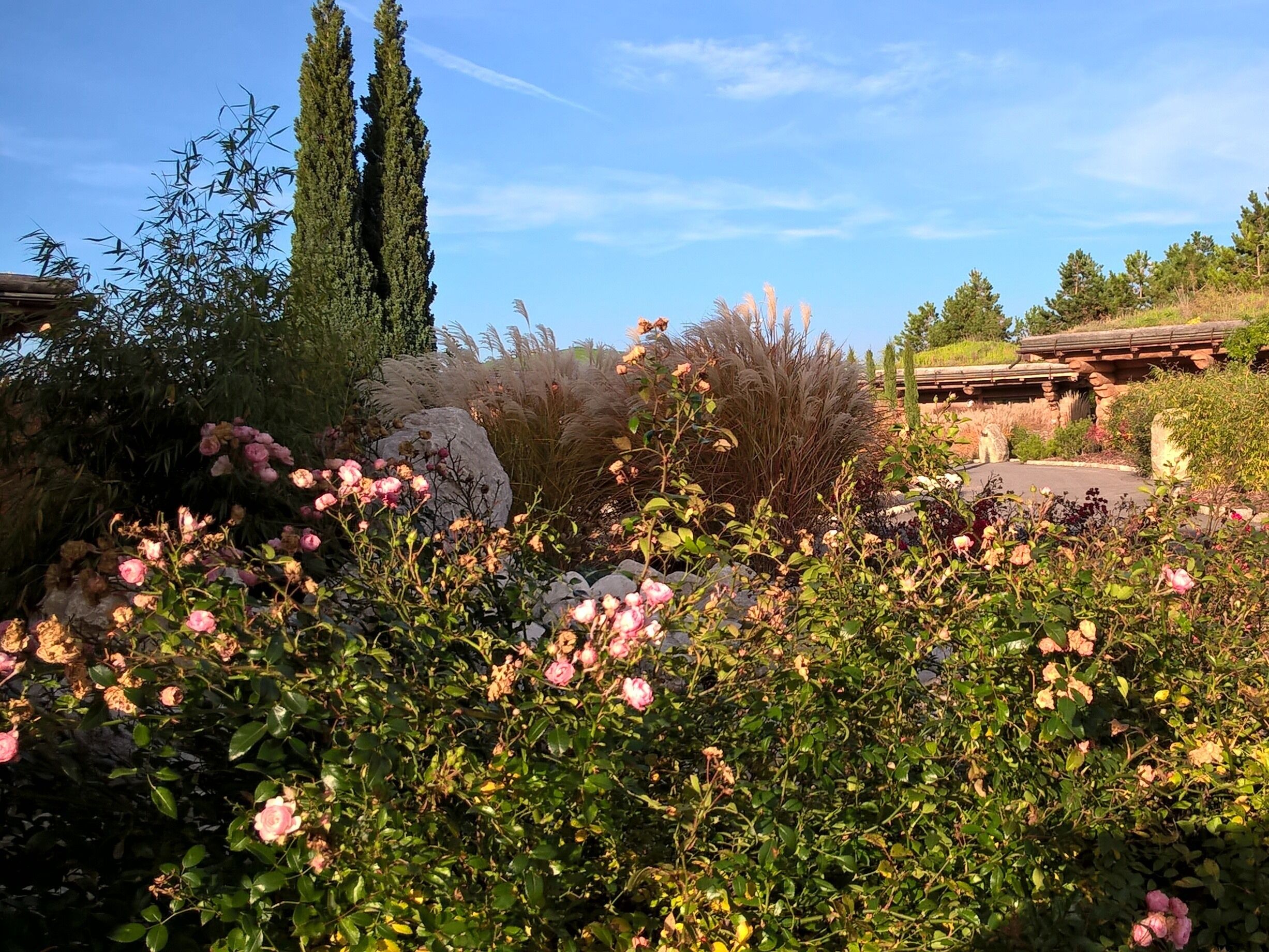 Um jardim com diversas plantas e flores, incluindo rosas cor-de-rosa, e uma estrutura de pedra ao fundo.