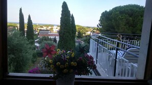 View from room